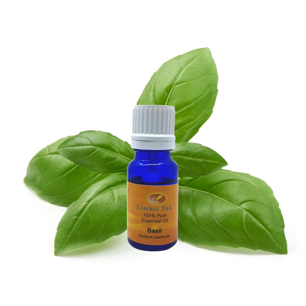 Basil Essential Oil
