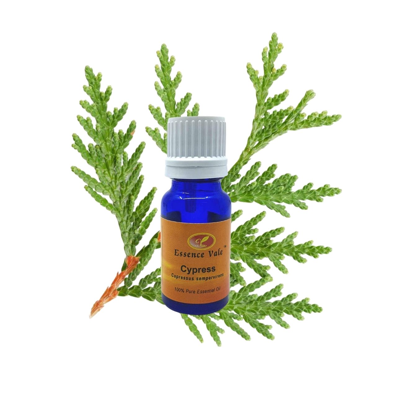 Cypress Essential Oil