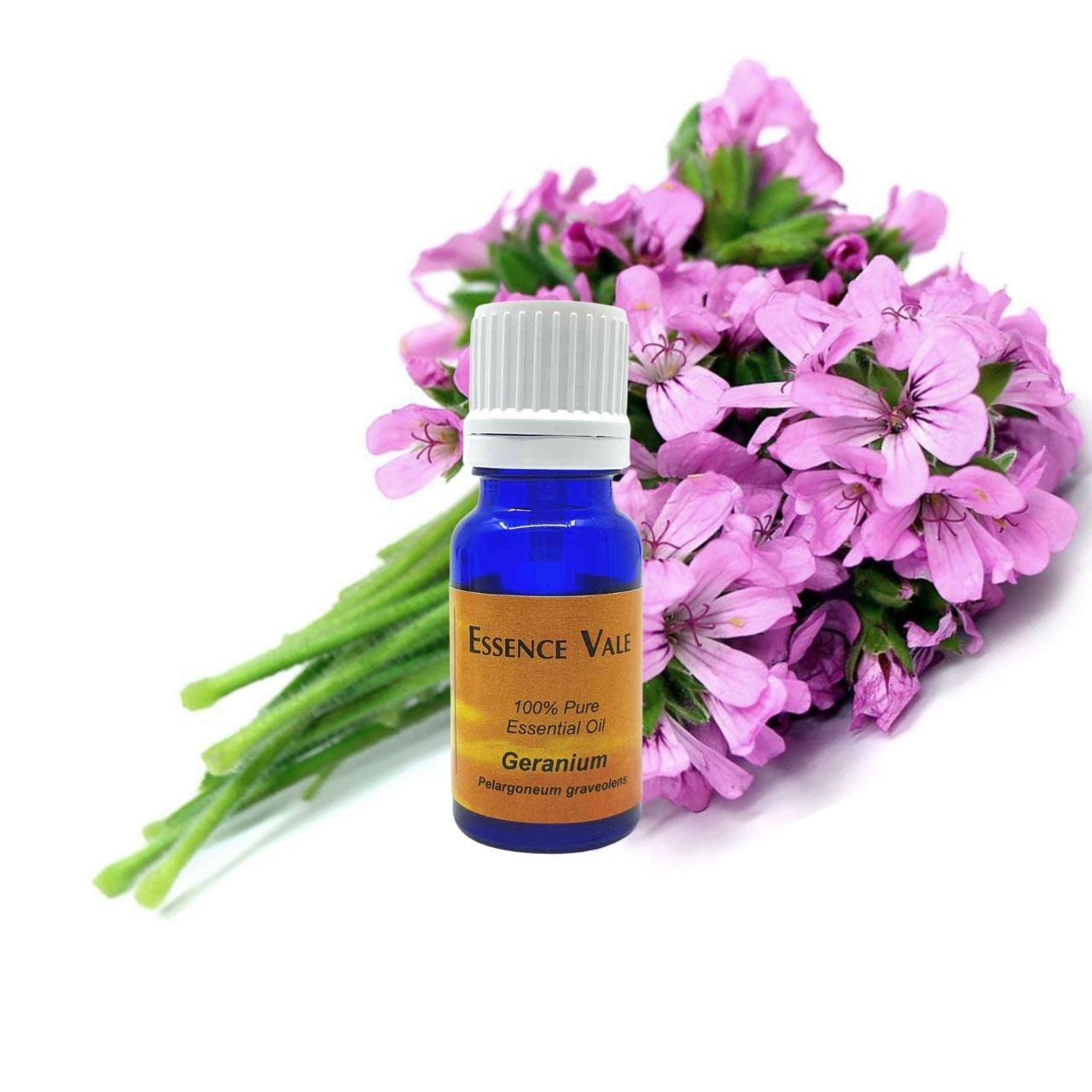 Geranium Essential Oil