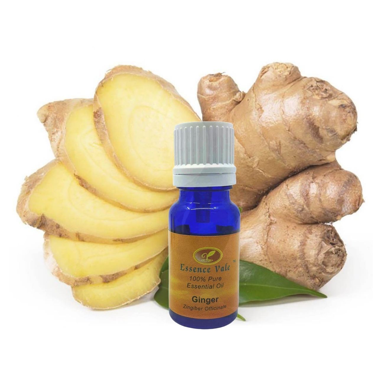 Ginger Essential Oil