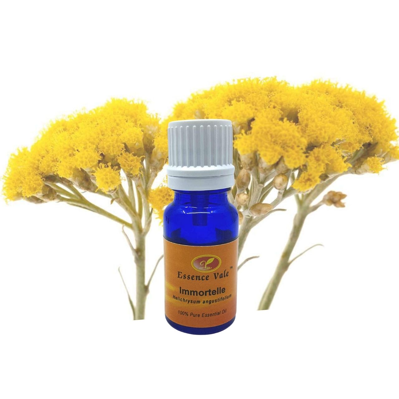 Immortelle Essential Oil