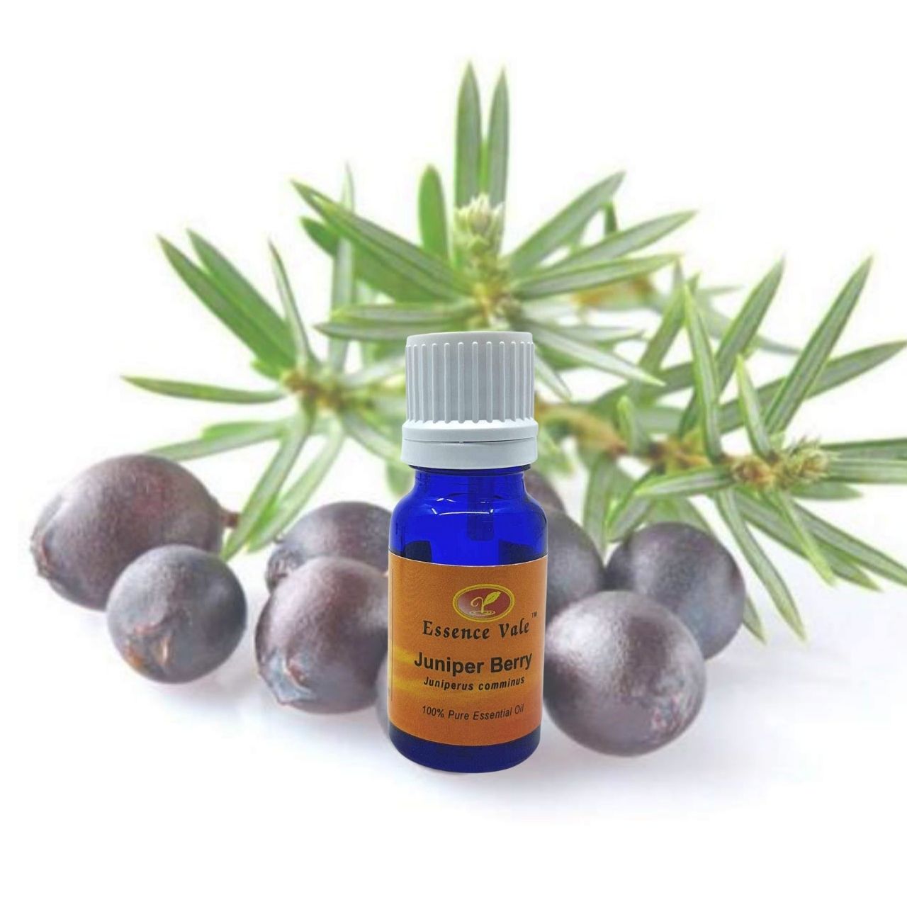 Juniper Berry Essential Oil, Packaging Size: 1 kg at Rs 2230/kg in Panchkula