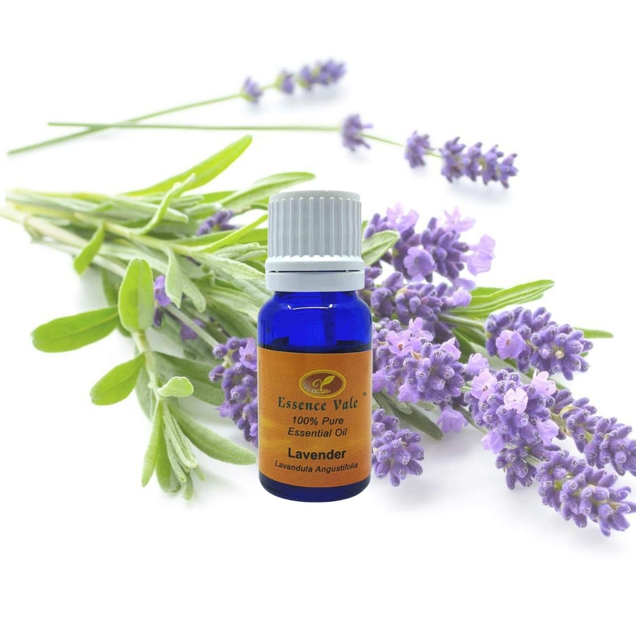 Lavender Essential Oil