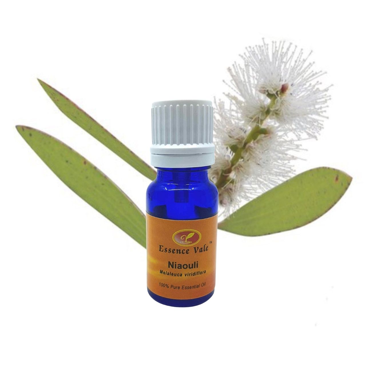 Niaouli Essential Oil