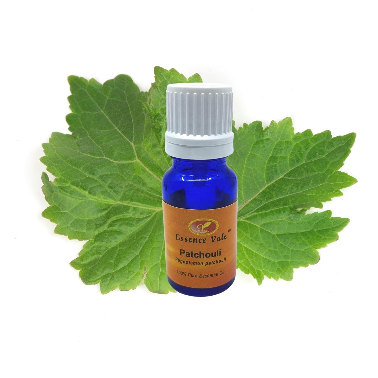 Patchouli Essential Oil