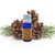 Pinus Sylvestris (Scotch Pine) Essential Oil