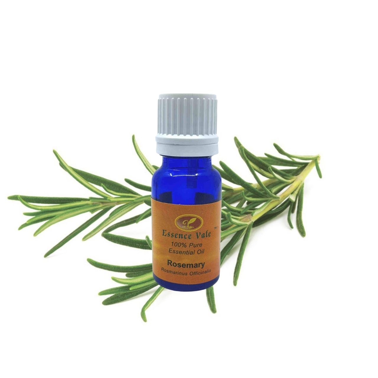 Rosemary Essential Oil