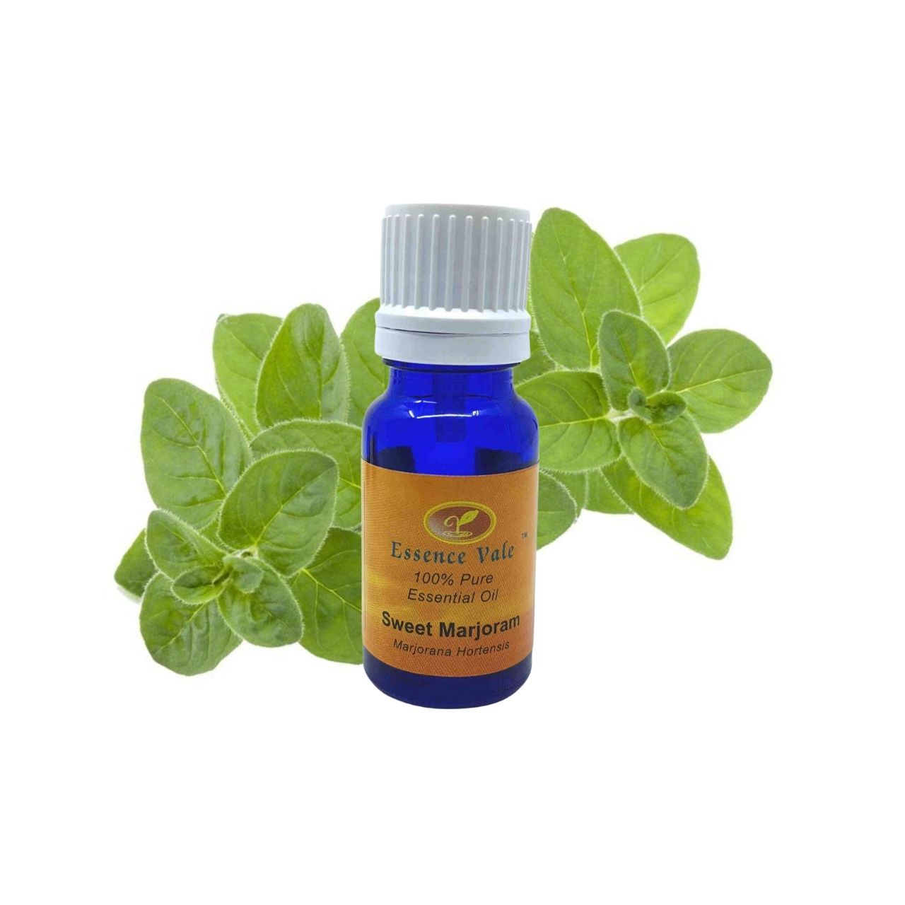 Sweet Marjoram Essential Oil