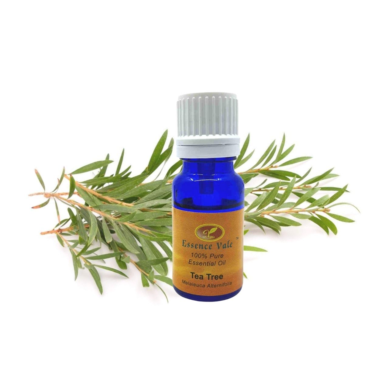 Tea Tree Essential Oil